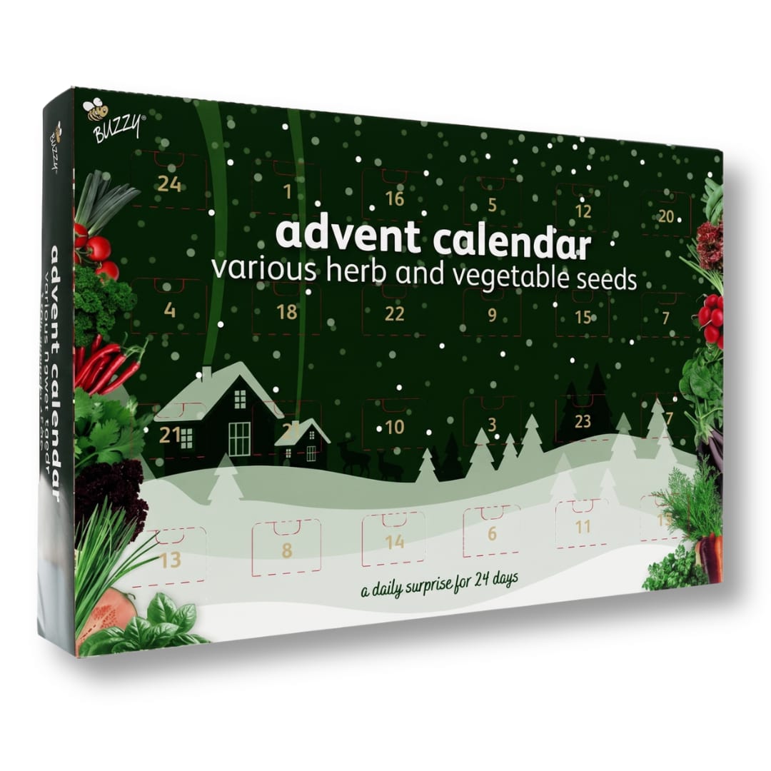 Groene Buzzy adventskalender met groente- en kruidenzaden met een besneeuwd dorpje op de voorkant