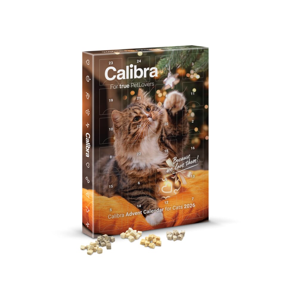Calibra adventskalender voor katten 2026 met een gestreepte kat die naar een kerstbal grijpt en losse snackblokjes ervoor